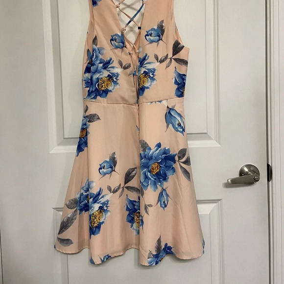 NWT Lulus Garden Walk Blush Pink Skater Dress - Picture 2 of 9